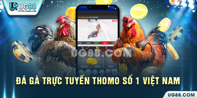 Nhà cái đá gà trực tuyến uy tín Số 1 Việt Nam